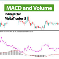 MACD and Volume Indicator MT5