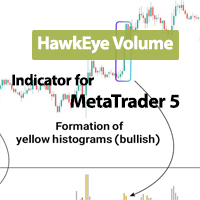 HawkEye Volume Indicator for MT5