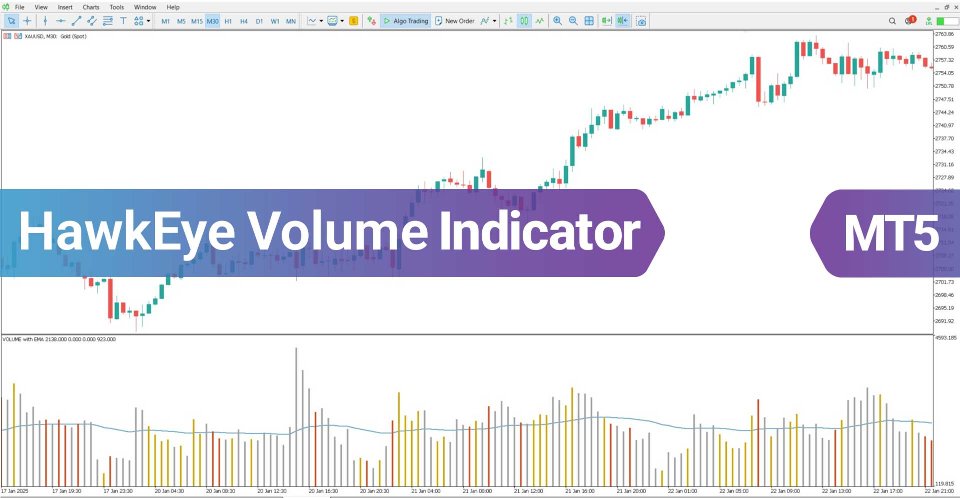 Screenshot #2 HawkEye Volume Indicator for MT5