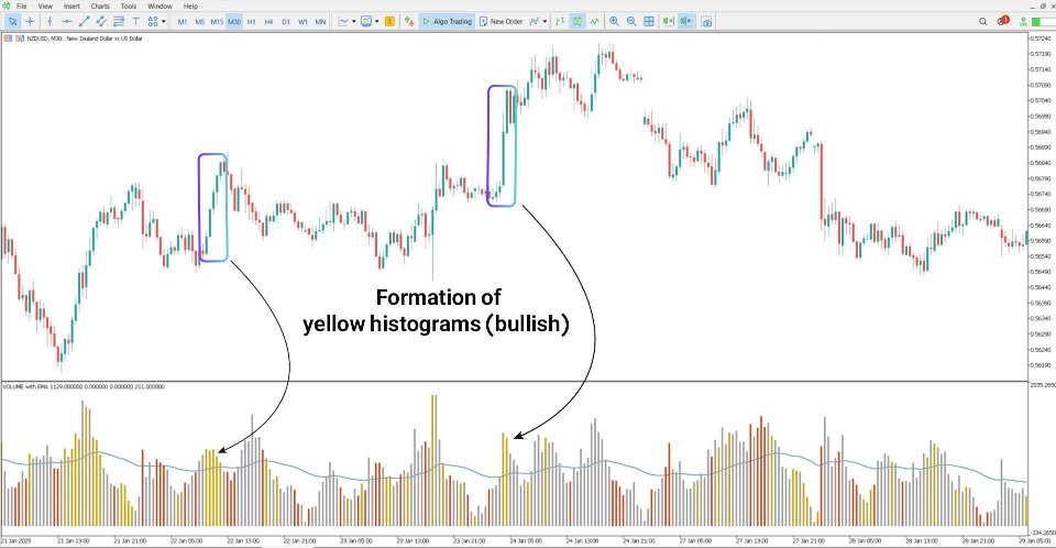 Screenshot #3 HawkEye Volume Indicator for MT5