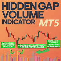 Hidden Gap Volume Indicator MT5