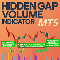 Hidden Gap Volume Indicator MT5