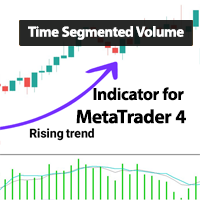 Time Segmented Volume Indicator MT4