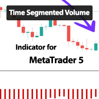 Time Segmented Volume Indicator MT5