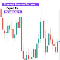 Connect Binance Futures MT5 Service