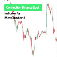 Connection Binance Spot to MT5 Service