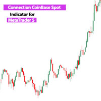 Connect CoinBase Spot Service MT5