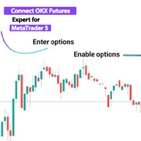 Connect OKX Futures MT5 Service