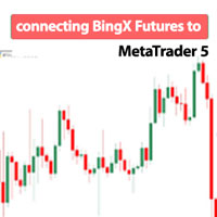 Connect BingX Futures to MT5 Service