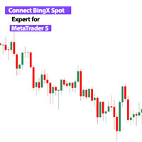 Connect BingX Spot to MT5 Service