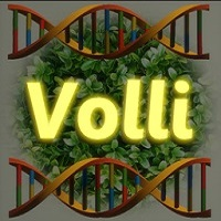 Volli v9