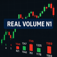 Real Volume N1