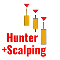 Volume Liquidity Hunter Scalping