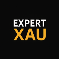 EXPERTteam