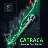 Catraca adaptive flow Turnstile