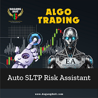 Auto SLTP Risk Assistant