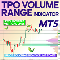 TPO Volume Range Indicator MT5