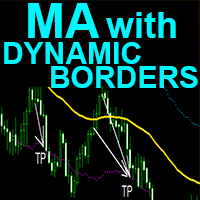 MA with Dynamic Borders mf
