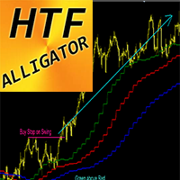 Alligator Higher Time Frame md