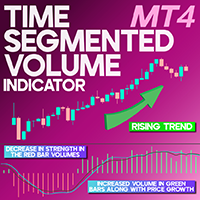 Time Segmented Volume Indicator MT4