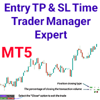 Entry TP and SL Time Trader Manager Expert MT5