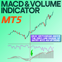 MACD and Volume Indicator MT5