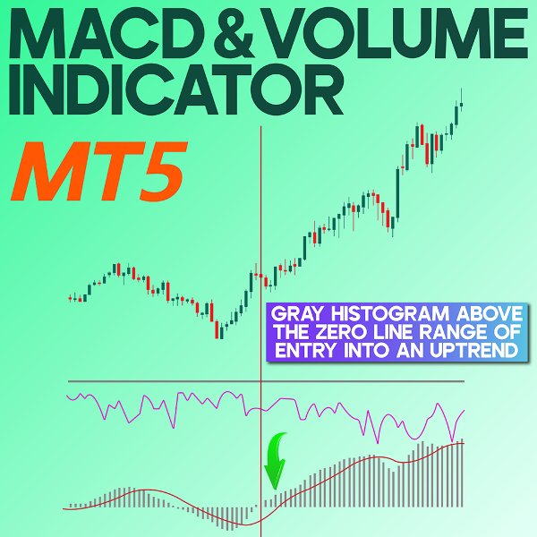 Screenshot #1 MACD and Volume Indicator MT5