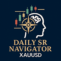 Daily SR Navigator