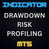 Drawdown Risk Profiling
