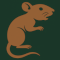 Rodent EA