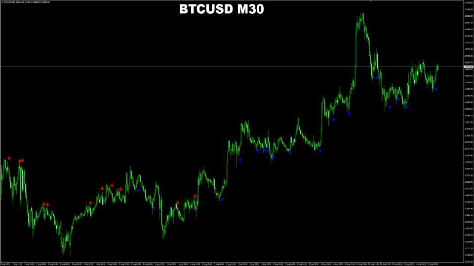 Screenshot #6 BTC BuySell Predictor