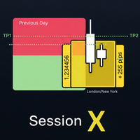Session X