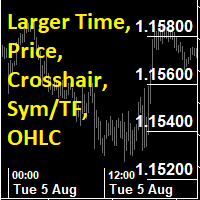Larger Price Time Crosshair Data MT5