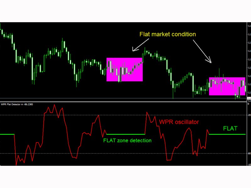 Screenshot #3 WPR Flat Detector m