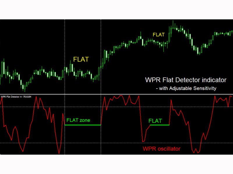 Screenshot #2 WPR Flat Detector m