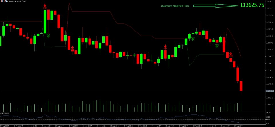 Screenshot #2 Quantum Price Magnifier