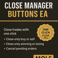 Close Trade Manager