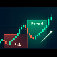 Risk Control Tool