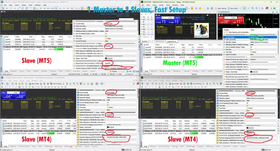 Screenshot #2 Copy Cat More Trade Copier MT5