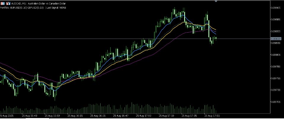 Screenshot #1 Visual Portfolio Analyzer Indicator