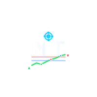 Mt Trading Tools English edition
