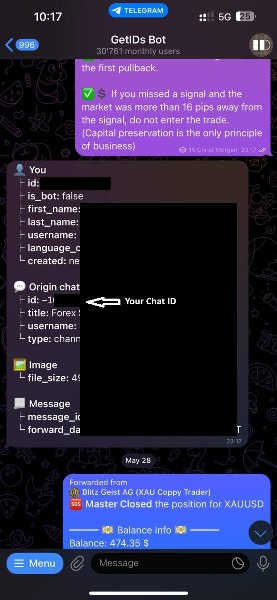 Screenshot #2 BlitzGeist Telegram Notifier
