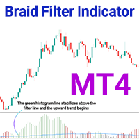Braid Filter Indicator MT4