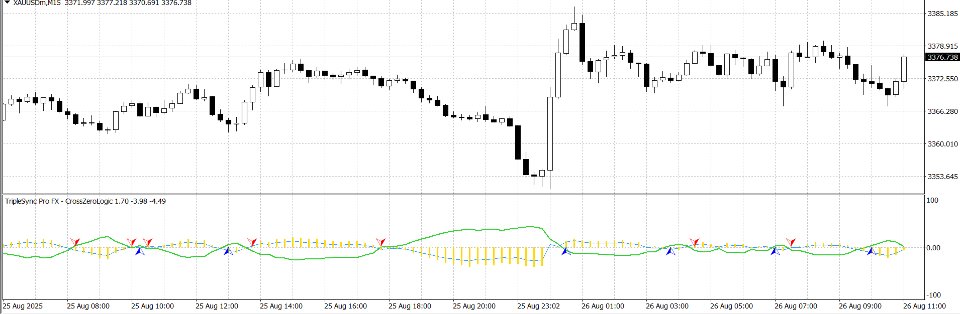 截图 #2 TripleSync Pro FX