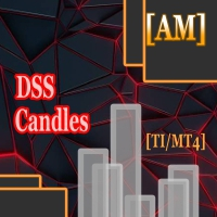 DSS Candles AM