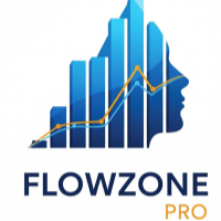 FlowZone Pro