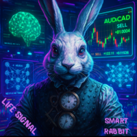 Smart Rabbit