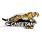 Visual Cheetah Run Indicator