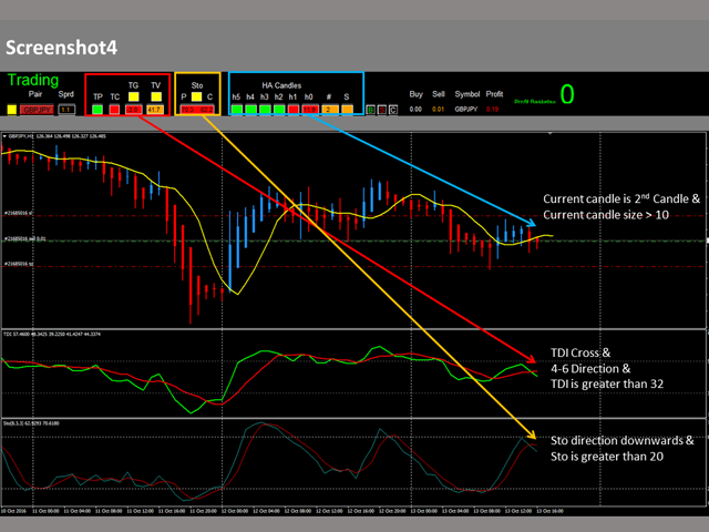 mt5 options trading