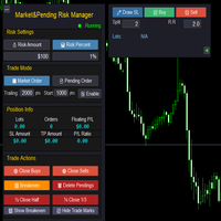 Market Pending Risk Manangerpro